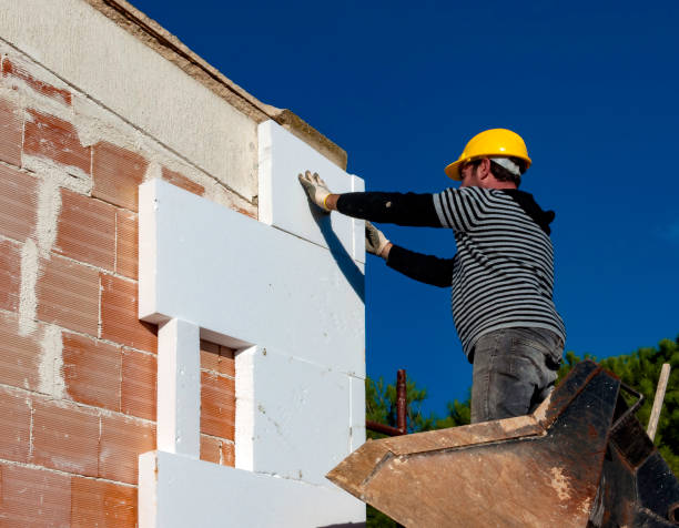 Best Cellulose Insulation in Vidalia, GA