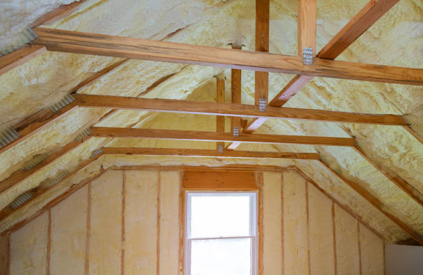 Best Geographic-Specific Insulation Services in Vidalia, GA