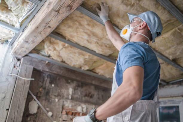 Best DIY Insulation Kits and Guidance in Vidalia, GA