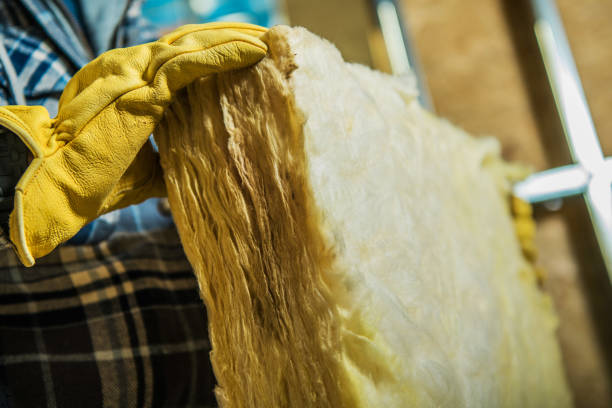 Best Commercial Insulation in Vidalia, GA