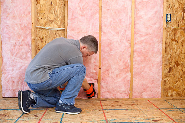 Best Fiberglass Insulation in Vidalia, GA